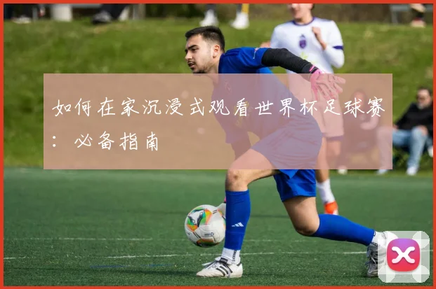 如何在家沉浸式观看世界杯足球赛：必备指南